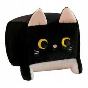 Kočka kostka černá